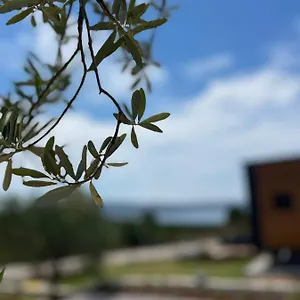 https://zu-tiny-house-hotel-restaurant.aegeanhotels.net